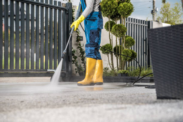Best Fence Cleaning  in Leadington, MO